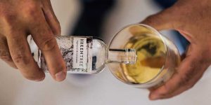 Read more about the article Birkentree taps into whisky market