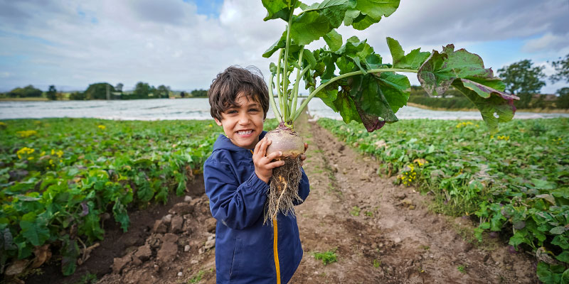 Boy with turnip