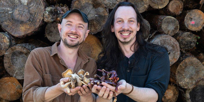 You are currently viewing Love Mushrooms launches in Tesco