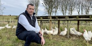 Read more about the article Farmlay hatches plan to massively boost output