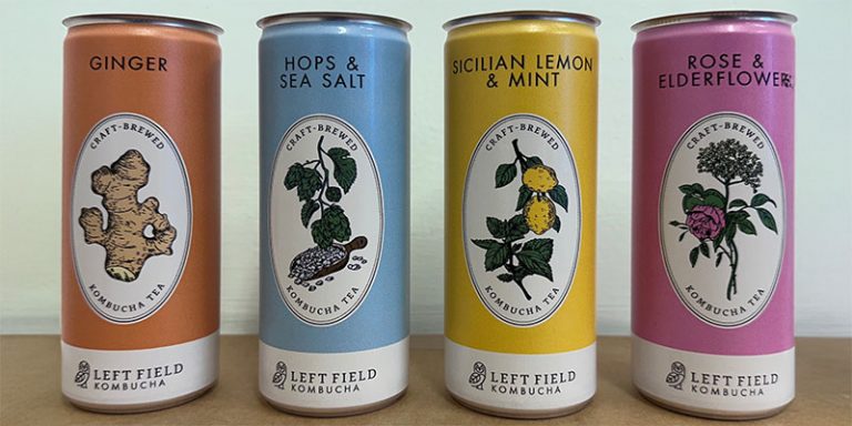 Left Field Kombucha flavoured tea in cans range